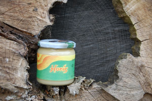 Eifeler Frühtrachthonig BIO